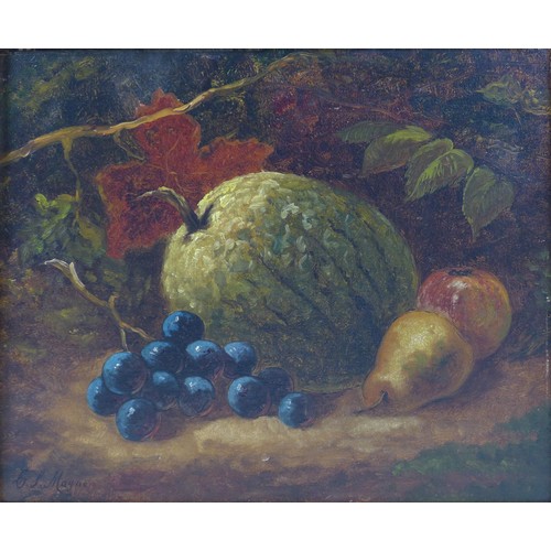 92 - C. L. Mayne (British School, 19th century): A pair of still life paintings, comprising a study of a ... 