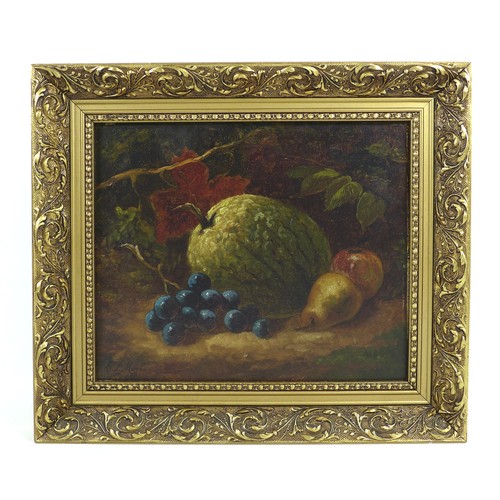 92 - C. L. Mayne (British School, 19th century): A pair of still life paintings, comprising a study of a ... 