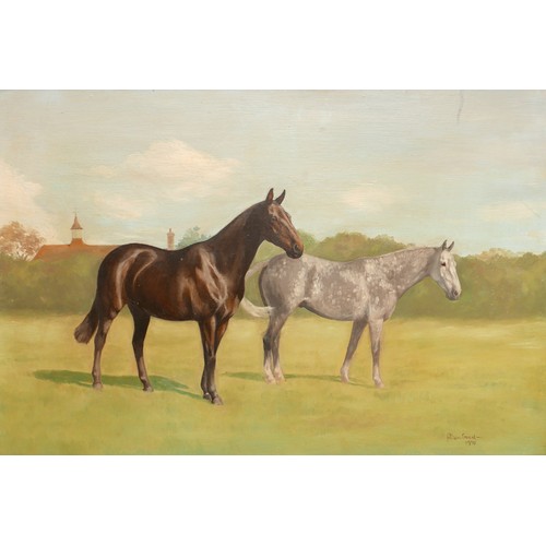 74 - Alison Guest (British, 20th Century): Equine portrait, signed lower right, oil on board, 49.5 by 74c... 