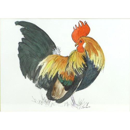 44 - Anne Smart (British, 20th century): a group of three painting of chickens/cockerels, 'Fine Feathers'... 