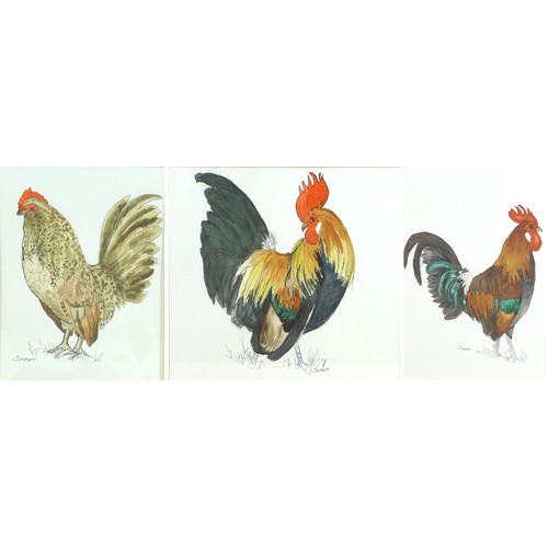 44 - Anne Smart (British, 20th century): a group of three painting of chickens/cockerels, 'Fine Feathers'... 