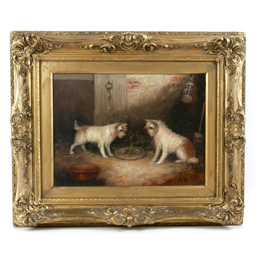 98 - George Armfield (British, 1808-1884): 'Tantilisation', depicting two white terriers in an outbuildin... 