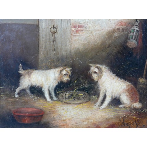 98 - George Armfield (British, 1808-1884): 'Tantilisation', depicting two white terriers in an outbuildin... 