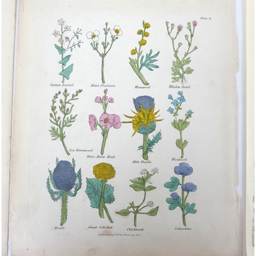15 - After Nicholas Culpeper MD (British, 1616-1654): Author of the Family Herbal, a collection of six ha... 