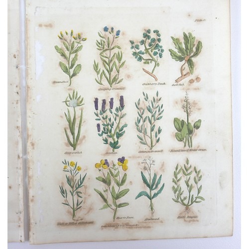 15 - After Nicholas Culpeper MD (British, 1616-1654): Author of the Family Herbal, a collection of six ha... 