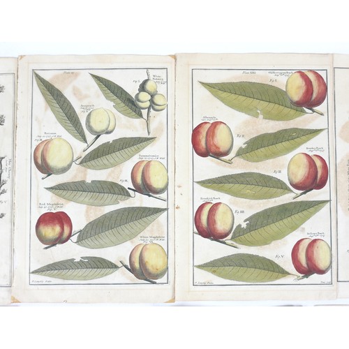20 - After Batty Langley (British, 1696-1751): 'Pomona or, the Fruit Garden Illustrated', a collection of... 
