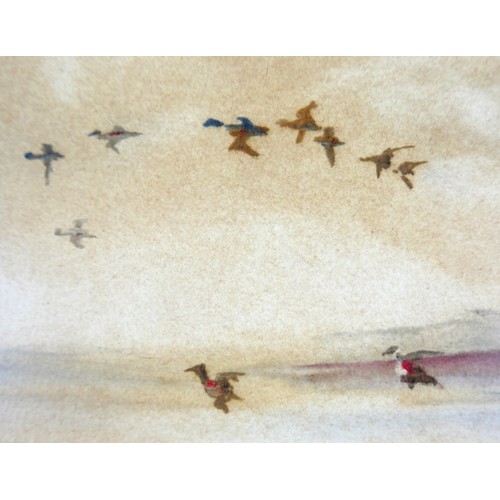 42 - John Snelling FRSA (British, b. 1914): 'Mallards in Flight', signed lower left, watercolour, 21.5 by... 