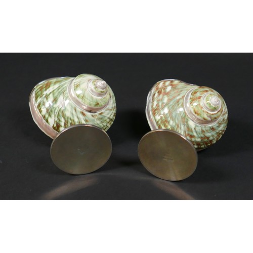 95 - An unusual pair of novelty salts, formed from decorative seashells, each mounted with a white metal ... 