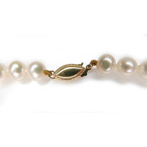 270 - A single strand pearl necklace with 14ct gold clasp, the evenly sized pearls each approximately 6mm ... 