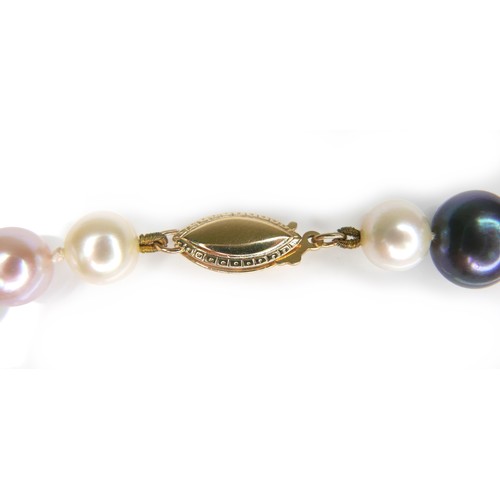 271 - A white and black pearl necklace, with 14ct gold clasp, approximate sizes of necklace pearls: white ... 