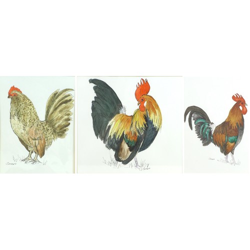 122 - Anne Smart (British, 20th century): a group of three painting of chickens/cockerels, 'Fine Feathers'... 