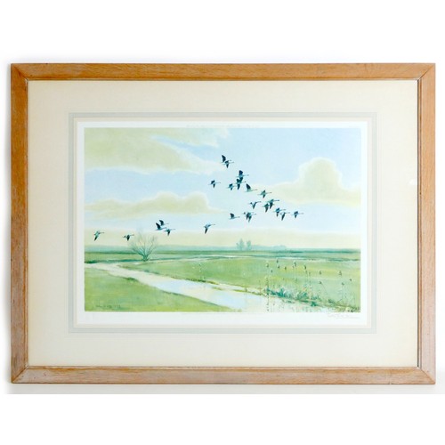 118 - After Peter Scott (British, 1909-1989): two signed prints, Geese in Flight, 35 by 53cm, mounted, gla... 