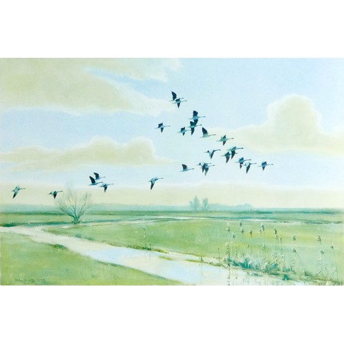 118 - After Peter Scott (British, 1909-1989): two signed prints, Geese in Flight, 35 by 53cm, mounted, gla... 