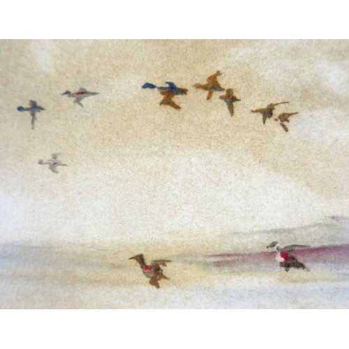 125 - John Snelling FRSA (British, b. 1914): 'Mallards in Flight', signed lower left, watercolour, 21.5 by... 