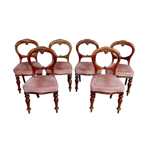 160 - Six Victorian mahogany balloon back dining chairs, with upholstered seats, raised upon turned forele... 