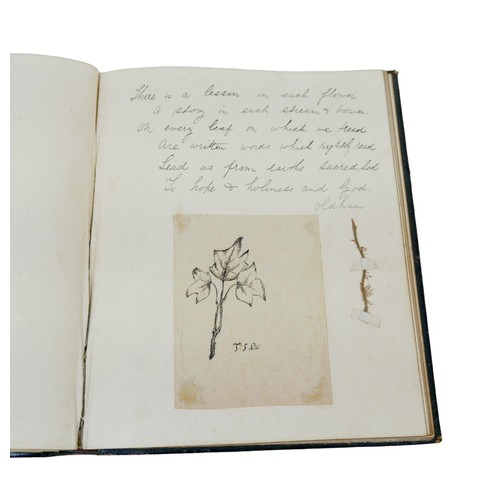 82 - A 19th century commonplace book, by Emily Tomlin 1885, with poems, an illustration of a leafy branch... 