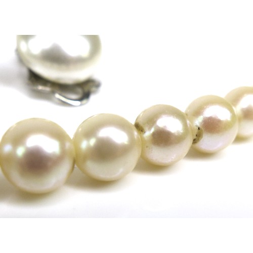 264 - A cultured pearl necklace with 9ct gold clasp, the pearls graduated, 40cm long excluding clasp, the ... 