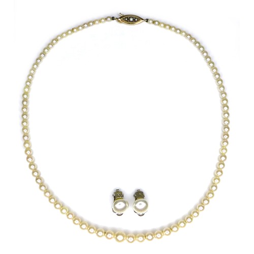 264 - A cultured pearl necklace with 9ct gold clasp, the pearls graduated, 40cm long excluding clasp, the ... 