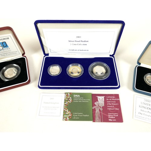 133 - A collection of ERII silver coins, comprising eight Royal Mint silver and silver proof coins, 2003 s... 