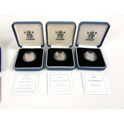 133 - A collection of ERII silver coins, comprising eight Royal Mint silver and silver proof coins, 2003 s... 