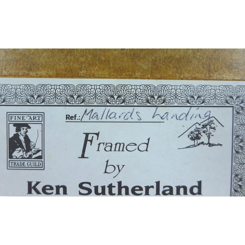 167 - John T Holmes (British, b.1937): Two wildlife pictures, 'Mallards Landing', watercolour, signed lowe... 