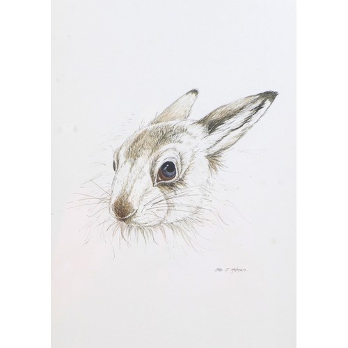 167 - John T Holmes (British, b.1937): Two wildlife pictures, 'Mallards Landing', watercolour, signed lowe... 