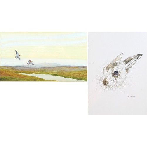 167 - John T Holmes (British, b.1937): Two wildlife pictures, 'Mallards Landing', watercolour, signed lowe... 