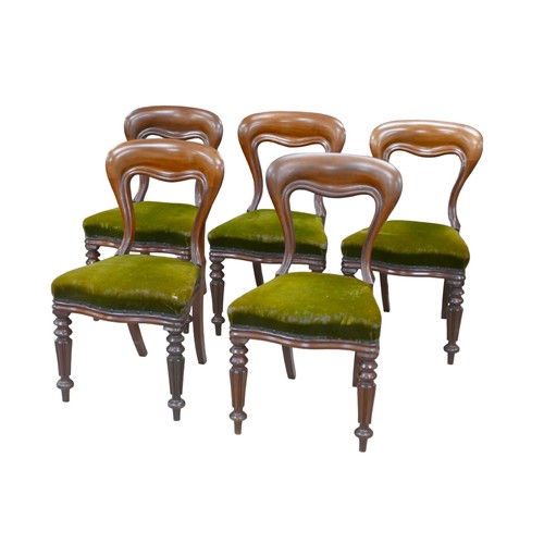 277 - Five Victorian mahogany balloon back dining chairs, with green upholstered seats, turned fore legs a... 