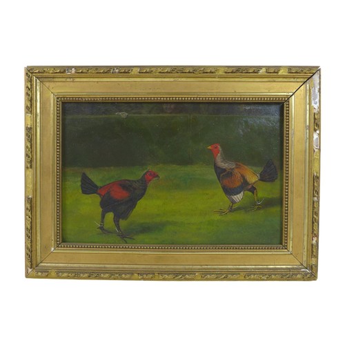 194 - British School (early 19th century): three avian portraits, each depicting fighting cocks, one title... 