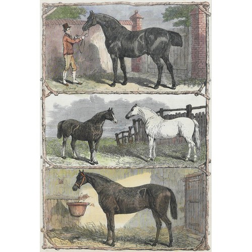 156 - The Illustrated London News, a group of 19th century equestrian studies, each 23 by 34cm, framed 38 ... 