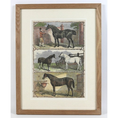 156 - The Illustrated London News, a group of 19th century equestrian studies, each 23 by 34cm, framed 38 ... 