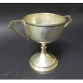 A George V twin handled trophy cup, G Bryan & Co. Birmingham, possibly 1913, 6toz, 16.5 by 10 by 13.... 