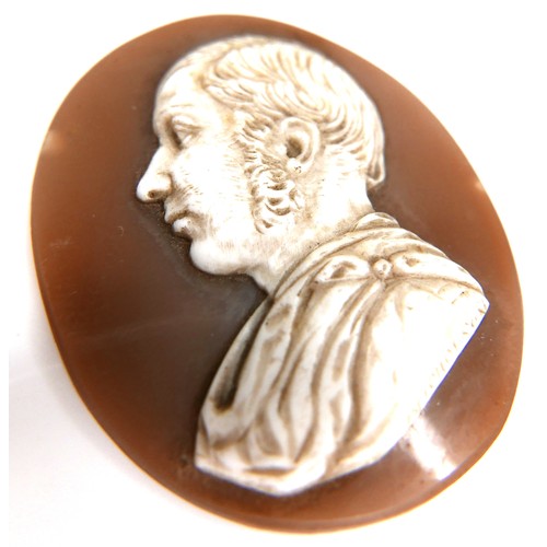 247 - A Victorian cameo miniature carved by John Nicholson, unmounted, depicting in profile the head of a ... 