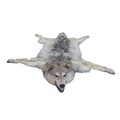 A Siberian Wolf skin rug, with head mount, mouth agape, limbs outstretched, backed onto green felt b... 