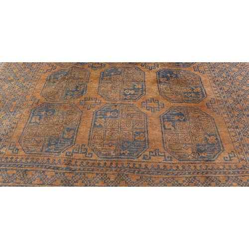 431 - A Tekke carpet, with brown and black ground centred by eighteen medallions in three rows, 340 by 224... 