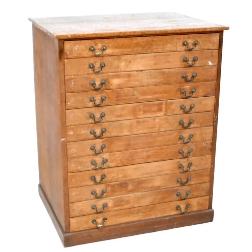 426 - A Victorian mahogany architect's plan chest, the twelve shallow drawers with brass swan neck handles... 