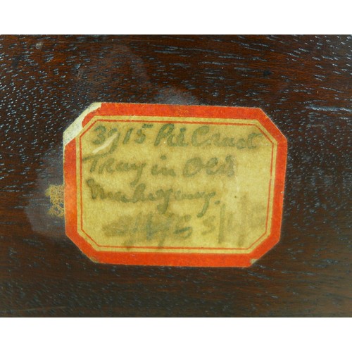 93 - A set of three graduated mahogany trays, circa 1900, shaped with carved edges, labels to verso, larg... 