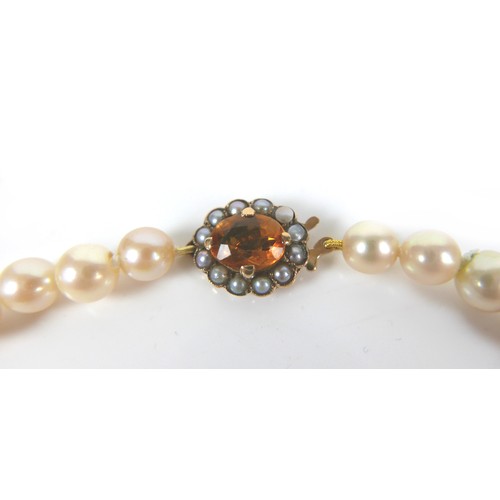 197 - A pearl necklace with 9ct gold citrine and seed pearl clasp, most pearls approximately 7mm diameter,... 