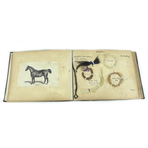 108 - An unusual early 20th century collection of horse hair, the journal, containing many locks of of hor... 