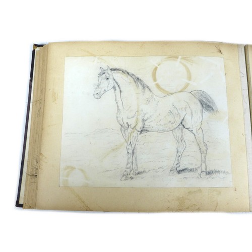 108 - An unusual early 20th century collection of horse hair, the journal, containing many locks of of hor... 