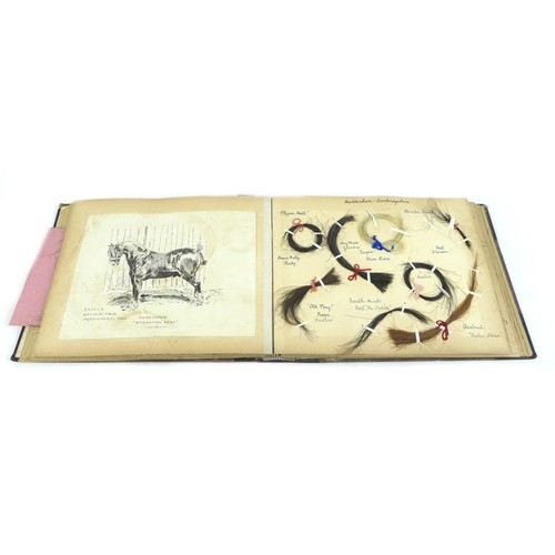 108 - An unusual early 20th century collection of horse hair, the journal, containing many locks of of hor... 