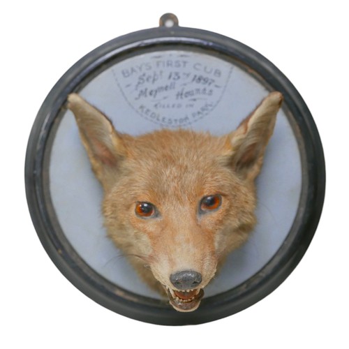 128 - A Victorian Taxidermy fox mask, with wooden shield mount, and handwritten title 