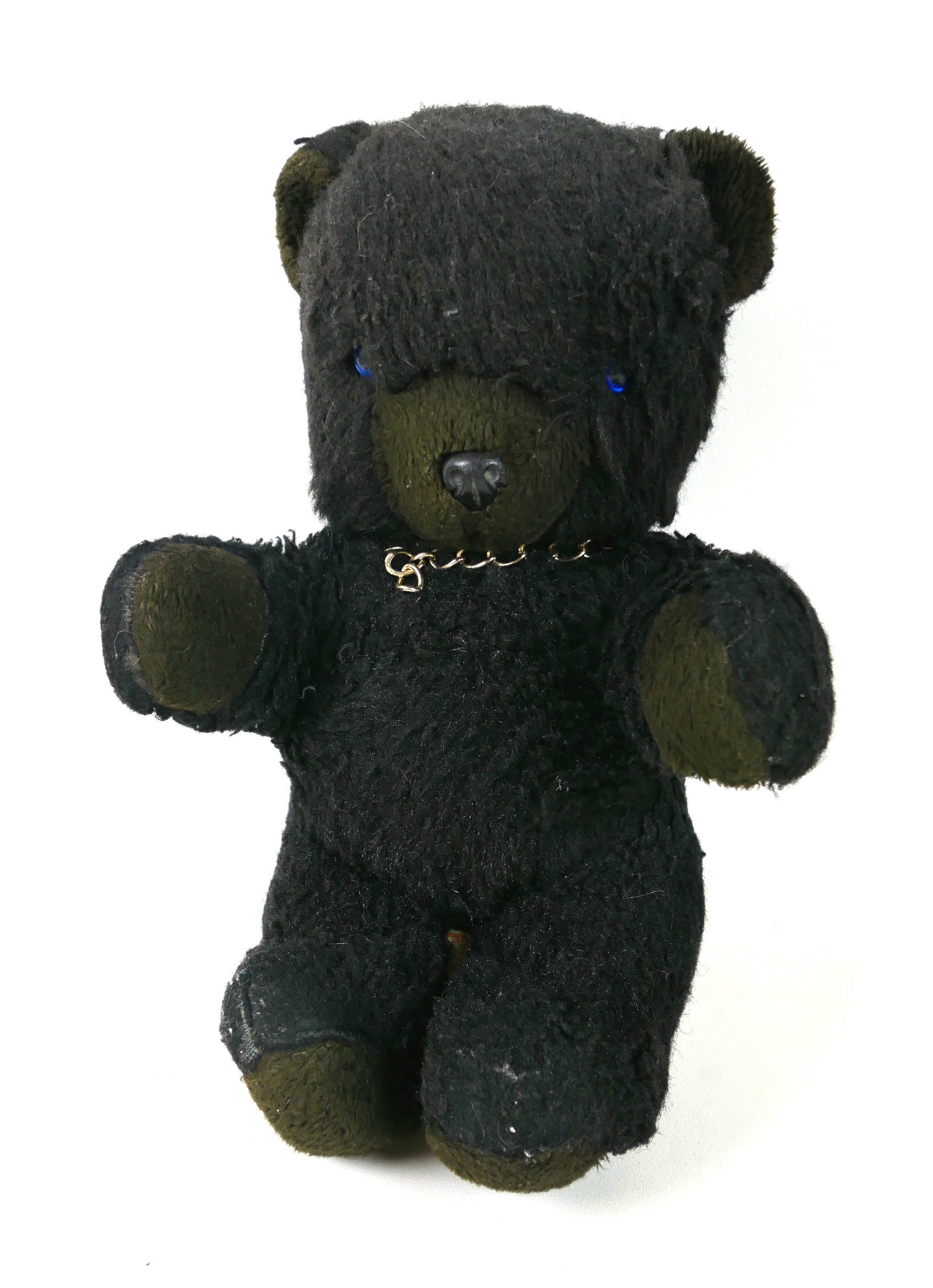 Black teddy bear pics discount