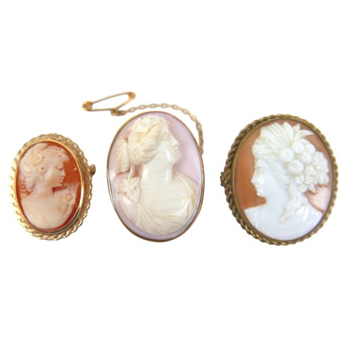 187 - A group of brooches, including a 9ct gold cameo brooch, 30mm, 4.7g, and an unmarked Indian gold broo... 