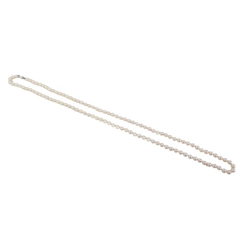 206 - A pearl necklace with an 18ct white gold and diamond clasp, the single string of evenly sized pearls... 