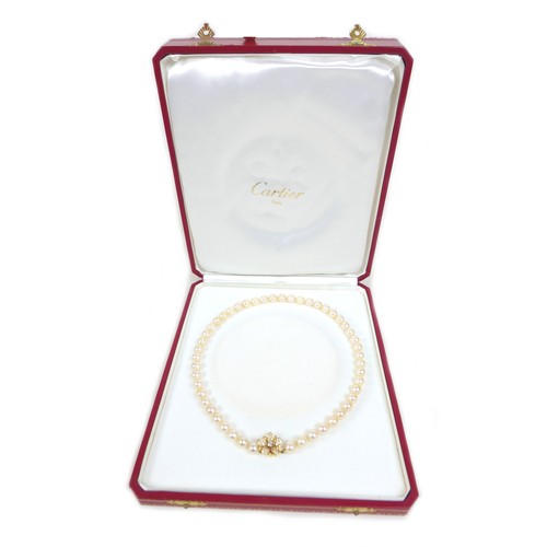 312 - A vintage Cartier pearl necklace with 18ct yellow gold and diamond set clasp, with single row of fif... 