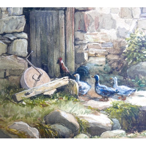 419 - A. S. Boyd (British, 20th century): a study of ducks walking into a stone barn, signed, watercolour,... 