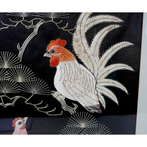 291 - A pair of Asian embroidered panels, depicting exotic birds on a black ground, 49 by 39cm, each glaze... 