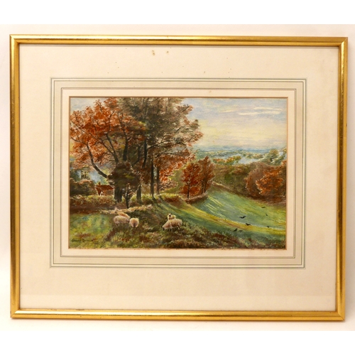 437 - Geoffrey Grainger (early 20th century): sheep in a landscape, watercolour, signed and dated 1922 low... 