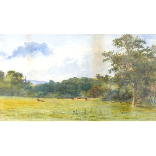 422 - British School (20th century): cows in a pastoral landscape, watercolour, monogrammed 'JP' lower lef... 